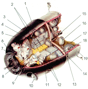 zarya3.gif (48166 bytes)